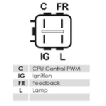 Stecker mit Polbelegung C, FR, IG, L